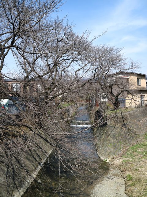 京都 スシロー 近期最佳迴轉壽司XD