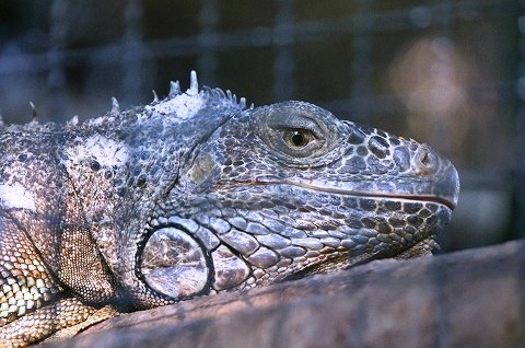 東京【景點】免費!免費!<img src=