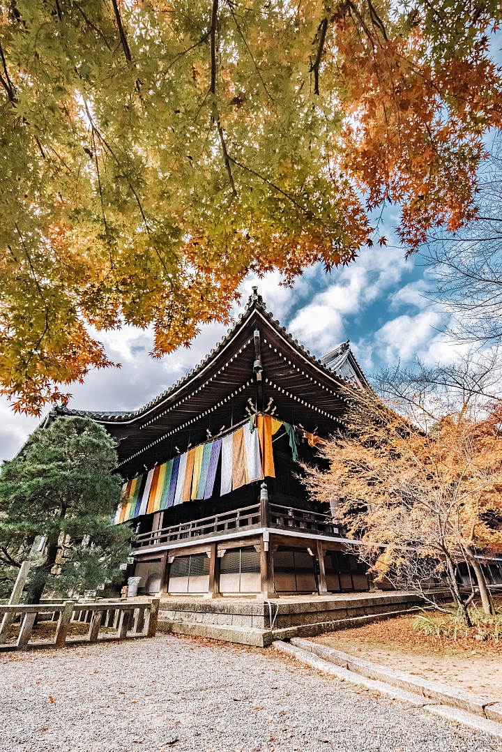 [D4] 京都賞楓攝影（後製）圖多