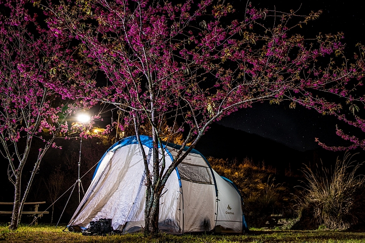 重車日誌42：力行產業道路