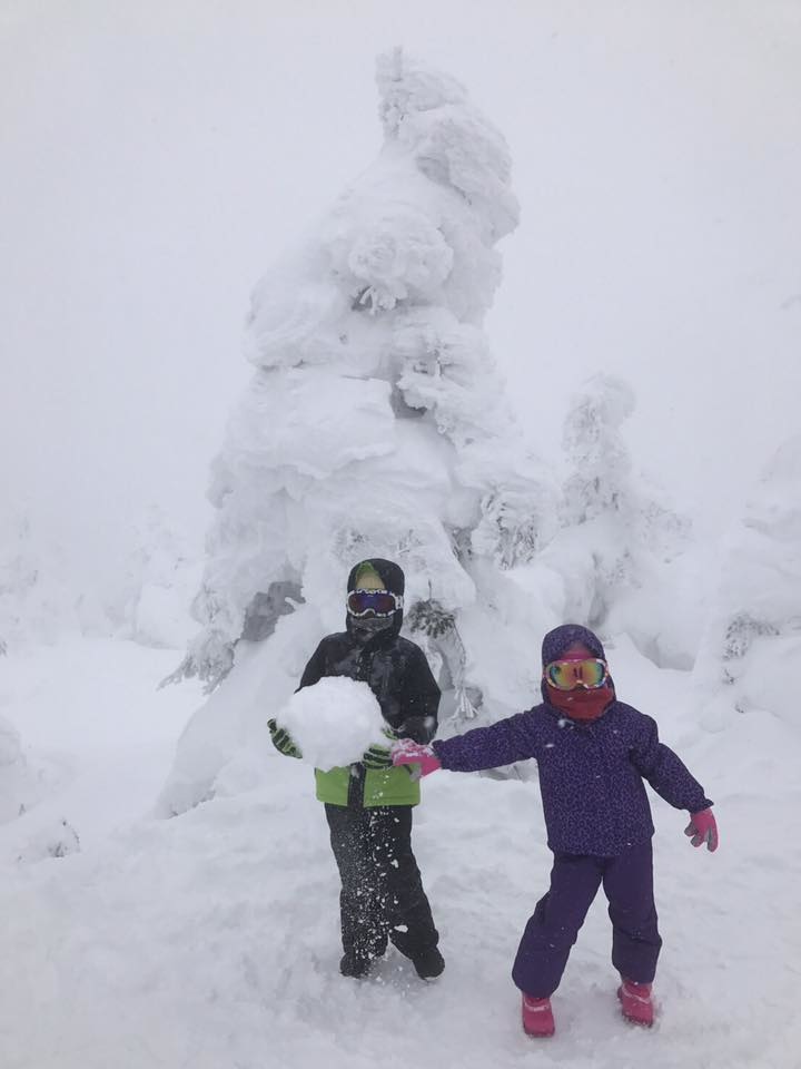 500/人~遊日本東北7天6夜~藏王樹冰，滑雪，天空草莓吃到飽~