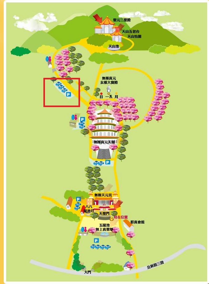 【新北/淡水】天元宮賞櫻花 (花況2/13綻放)