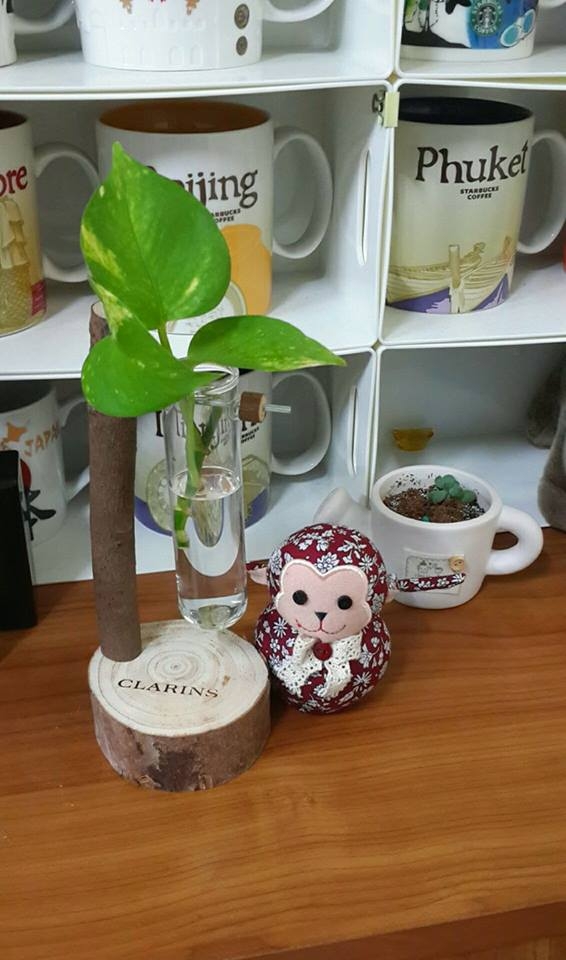 更新於12/17邁向第12年)預算不足夫妻同心油漆&整修17坪的起家厝點滴..