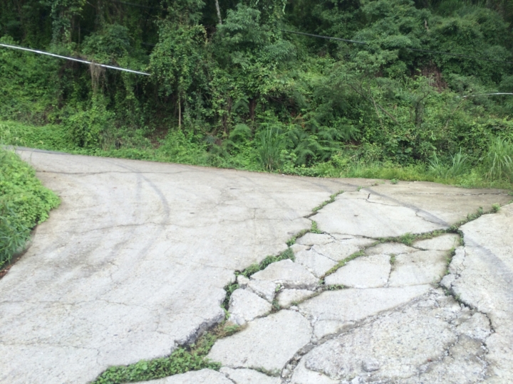 SSCX 單速車田字環島前傳 (完)