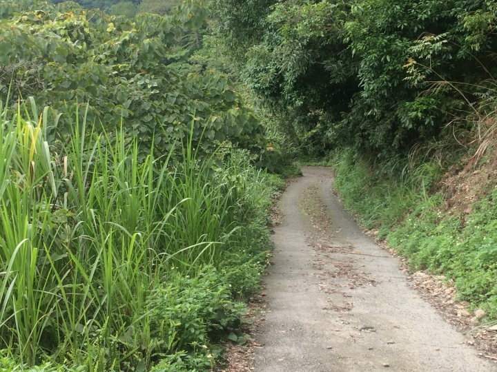SSCX 單速車田字環島前傳 (完)