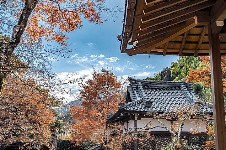 [D4] 京都賞楓攝影（後製）圖多