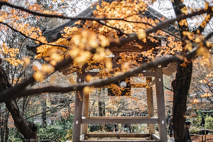 [D4] 京都賞楓攝影（後製）圖多