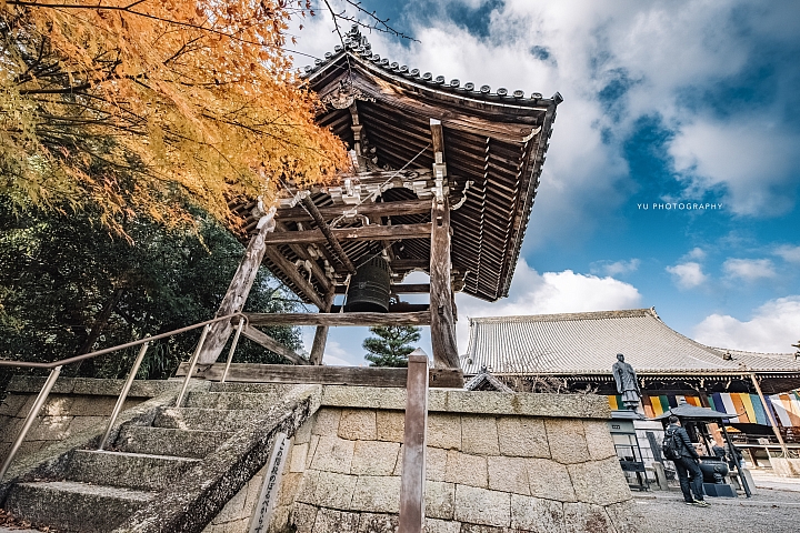 [D4] 京都賞楓攝影（後製）圖多