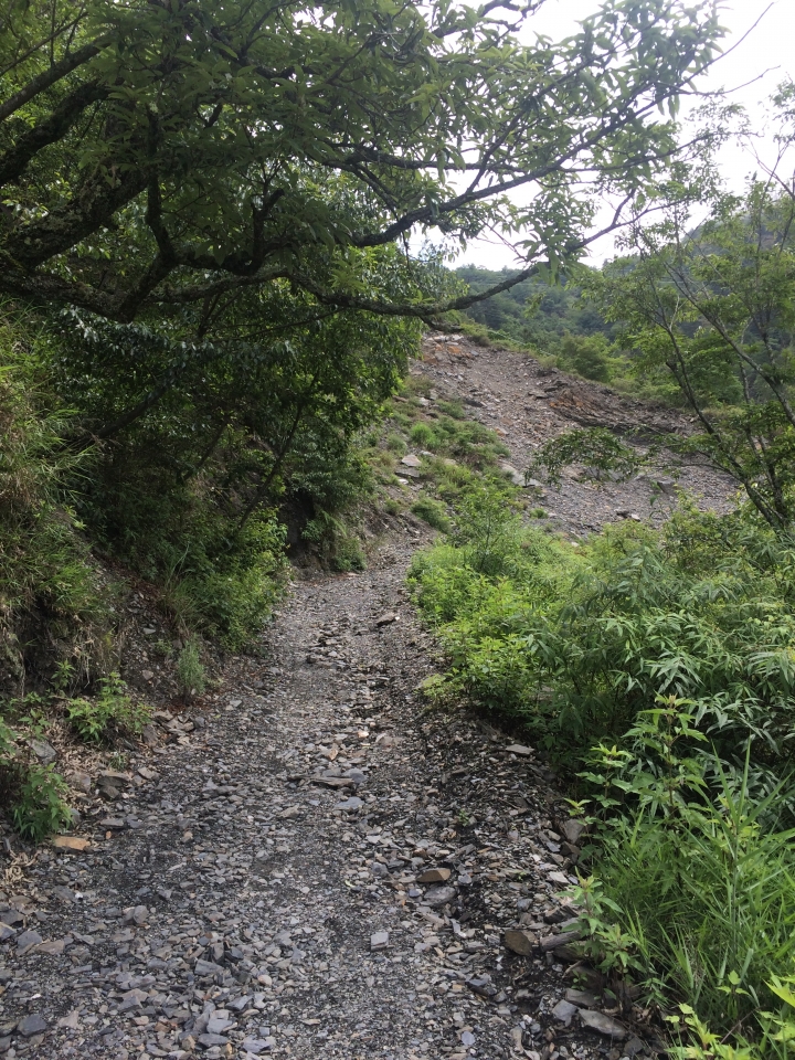 SSCX 單速車田字環島前傳 (完)