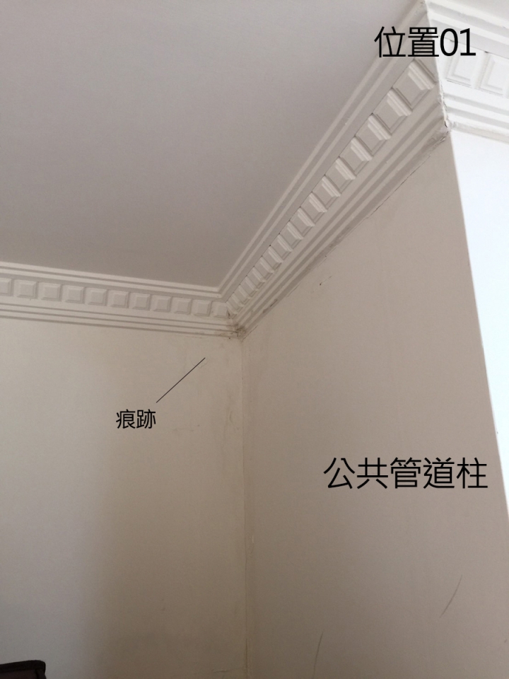 牆上有漏水所造成的痕跡，拜託大家鑑定