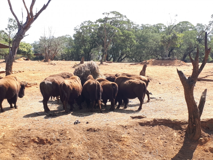 三星Galaxy A7 2017--A級精彩，防水防塵探索水袐境