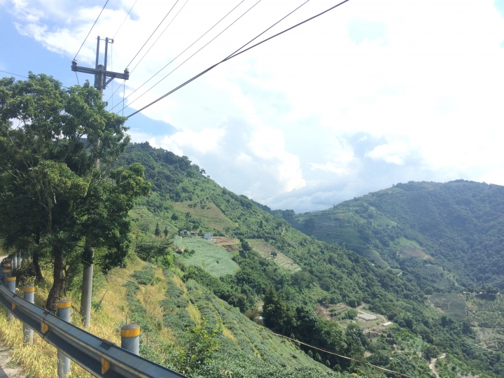 SSCX 單速車田字環島前傳 (完)
