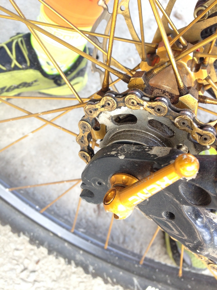 SSCX 單速車田字環島前傳 (完)