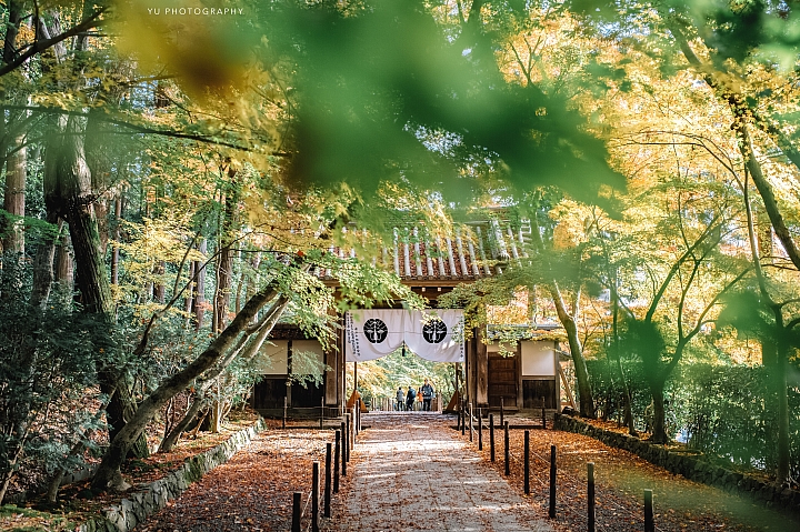 [D4] 京都賞楓攝影（後製）圖多
