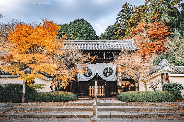 [D4] 京都賞楓攝影（後製）圖多