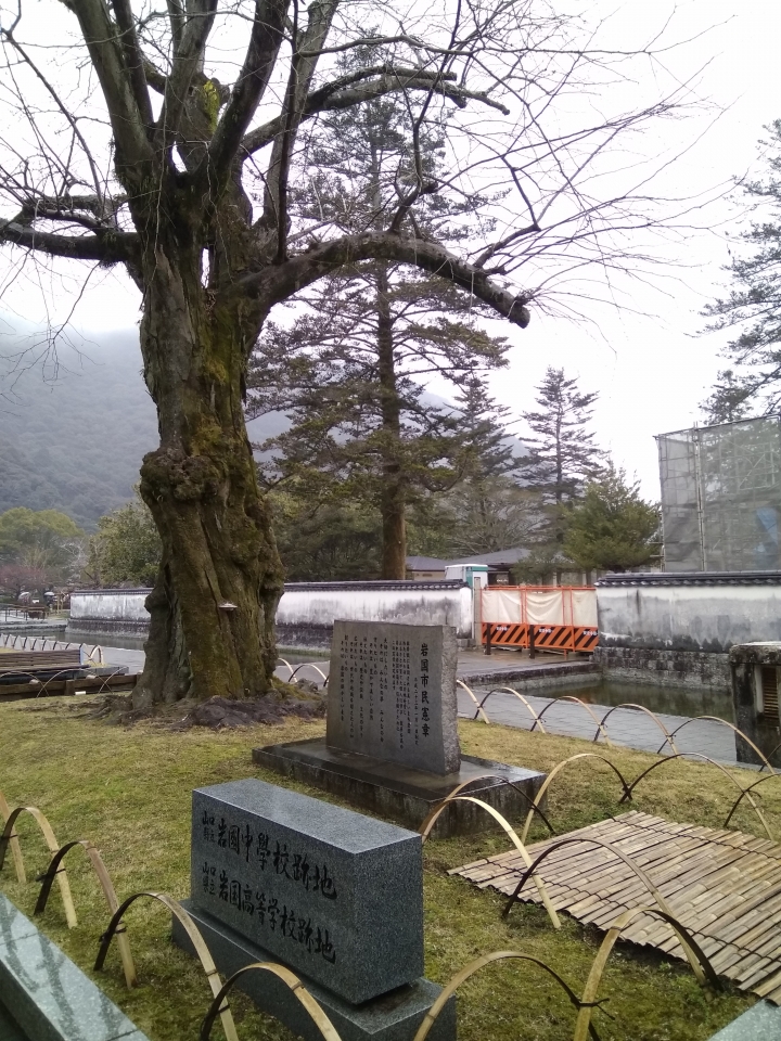[2017.01.28-02.02]廣島、宮島嚴島神社、岩國錦帶橋、岡山後樂園、倉敷、松江城、出雲大社、大阪天王寺之旅(大推Hotel & Resort Bali Tower Tennoji！！！)