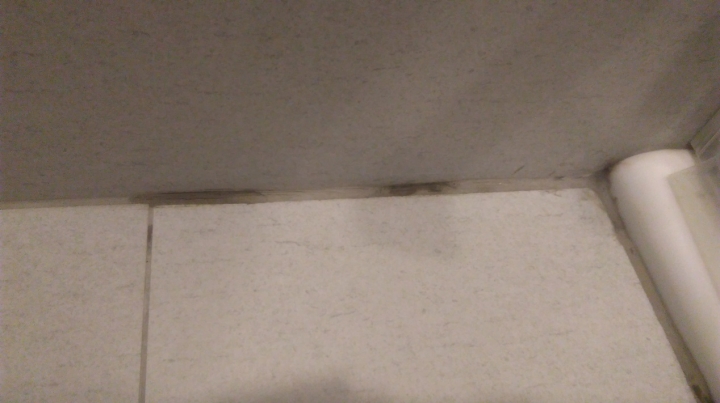浴室地磚填縫變色的問題