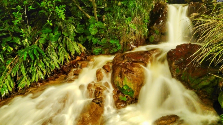 (第94批圖) LG G4 &G5&V10&v20 日夜拍研究團 精選作品2017.2.15