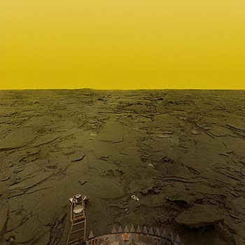 為何不移居至金星呢?