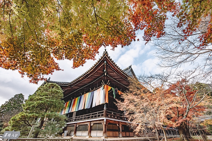 [D4] 京都賞楓攝影（後製）圖多