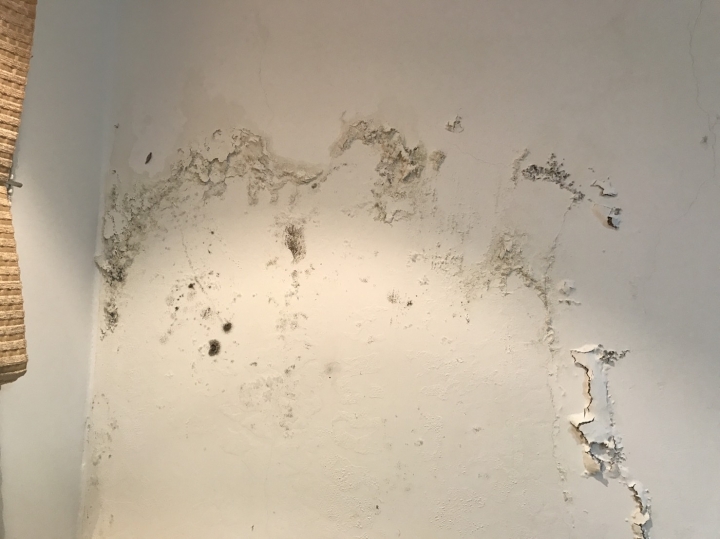 這是壁癌還是漏水