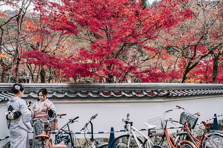 [D4] 京都賞楓攝影（後製）圖多