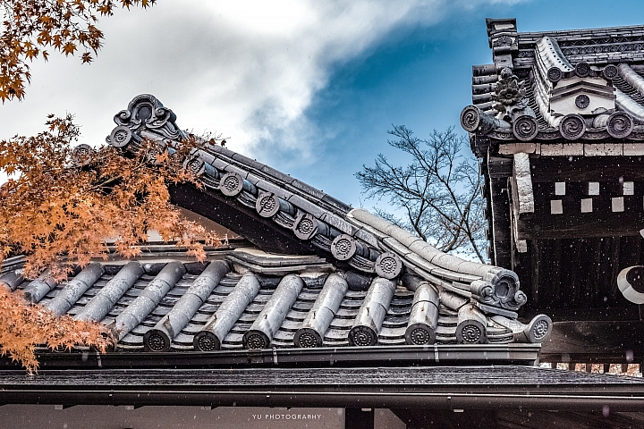 [D4] 京都賞楓攝影（後製）圖多