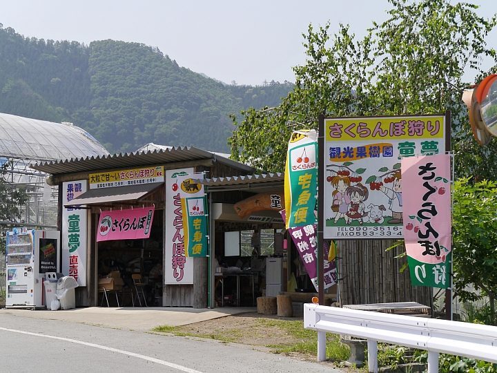 日本山梨縣 "塩山"  採鹽還是採櫻桃 ?!