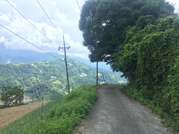 SSCX 單速車田字環島前傳 (完)