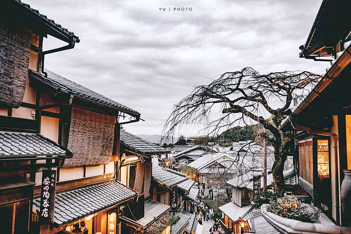 [D4] 京都賞楓攝影（後製）圖多