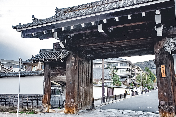 [D4] 京都賞楓攝影（後製）圖多