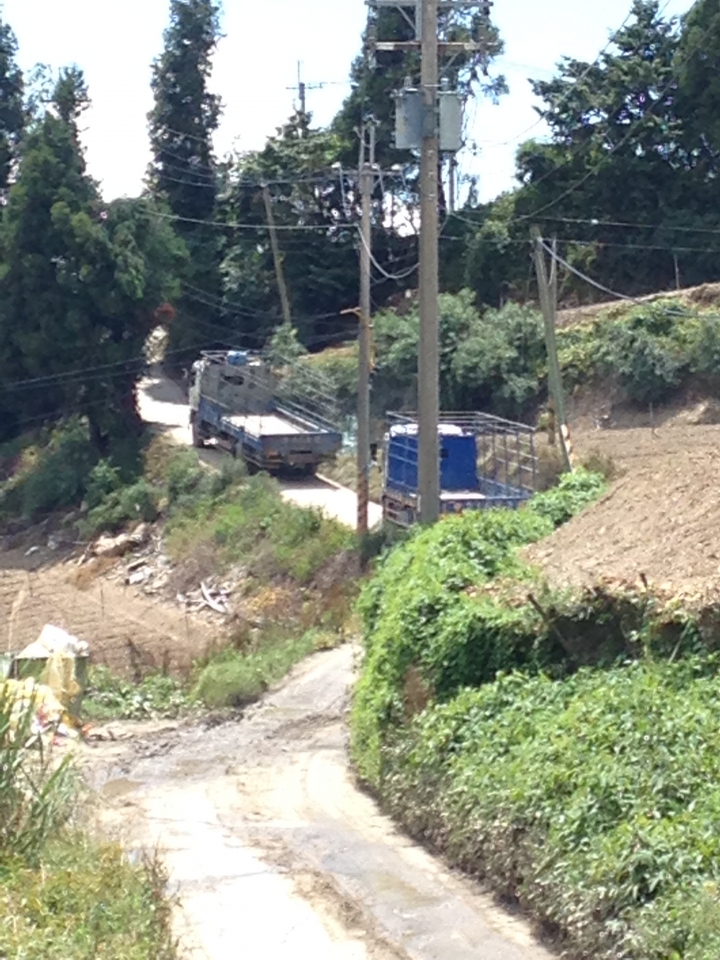 SSCX 單速車田字環島前傳 (完)