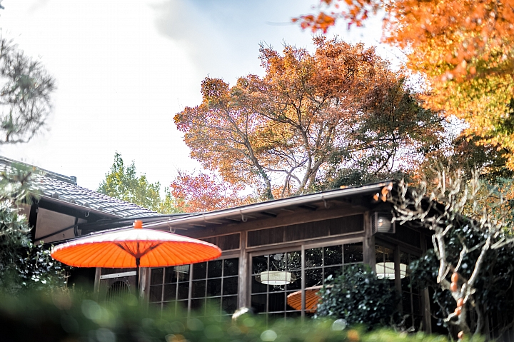 [D4] 京都賞楓攝影（後製）圖多