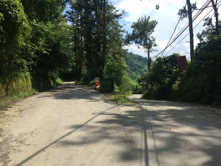 SSCX 單速車田字環島前傳 (完)