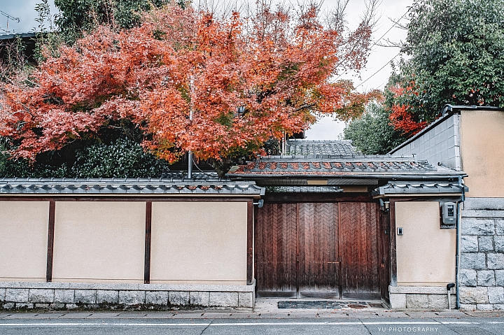 [D4] 京都賞楓攝影（後製）圖多