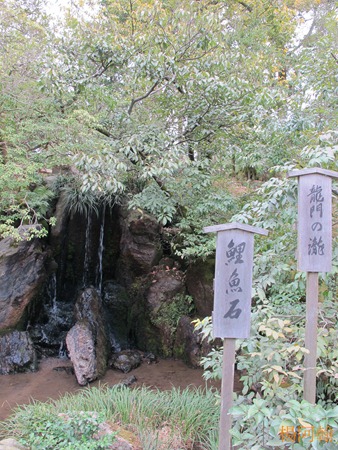 [日本 關西] 京阪5天自由行 day2