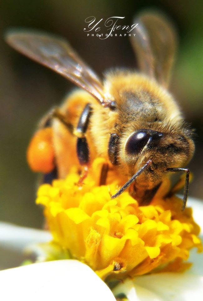 (第94批圖) LG G4 &G5&V10&v20 日夜拍研究團 精選作品2017.2.15