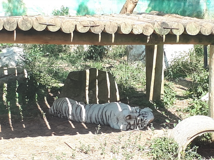 三星Galaxy A7 2017--A級精彩，防水防塵探索水袐境