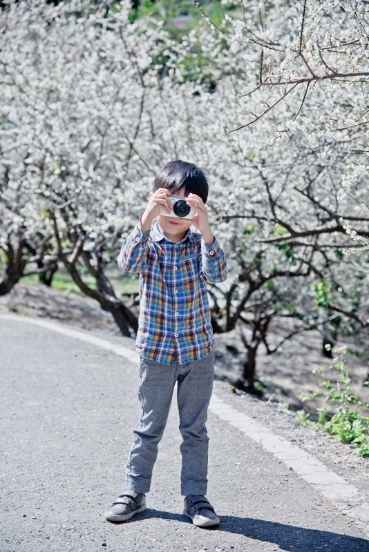 [信義賞梅] 2017/01/18 南投信義鄉土場梅園賞梅