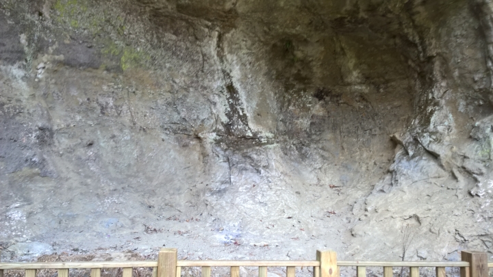 機車旅行-彬林溪牡丹花