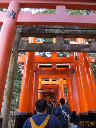 [日本 關西] 京阪5天自由行 day2