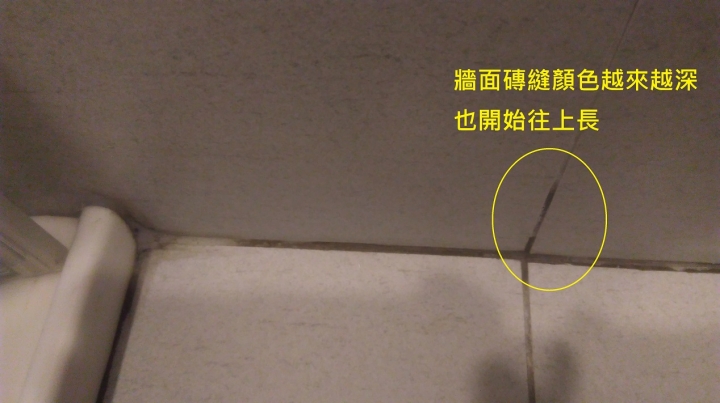 浴室地磚填縫變色的問題