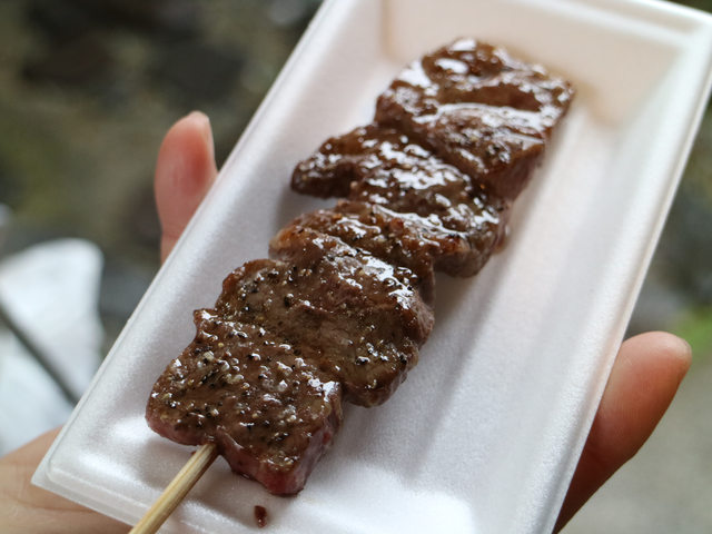 「岐阜景點」--日本三大溫泉 下呂溫泉 小川屋