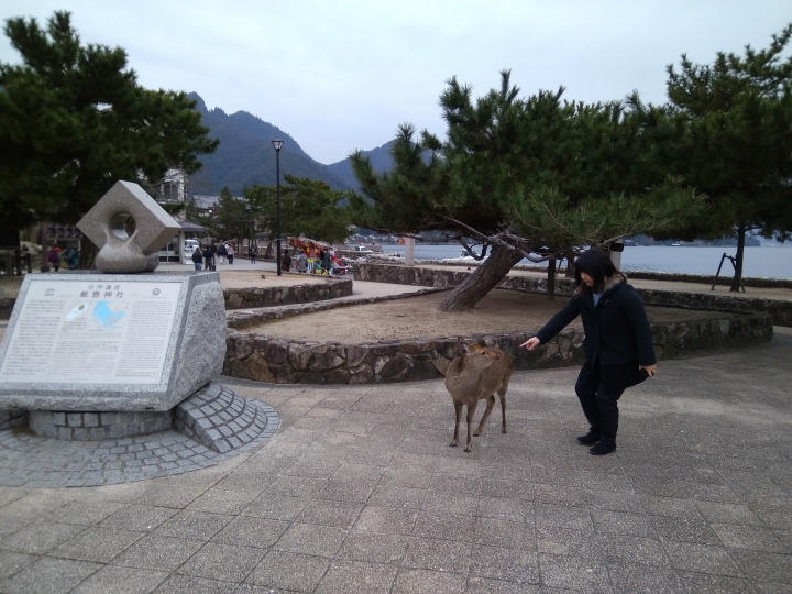 [2017.01.28-02.02]廣島、宮島嚴島神社、岩國錦帶橋、岡山後樂園、倉敷、松江城、出雲大社、大阪天王寺之旅(大推Hotel & Resort Bali Tower Tennoji！！！)