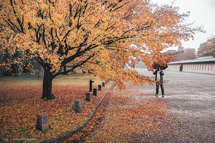 [D4] 京都賞楓攝影（後製）圖多