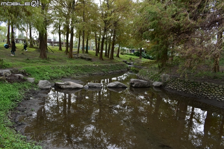 『開箱』Nikon D5600，晉升單眼一族