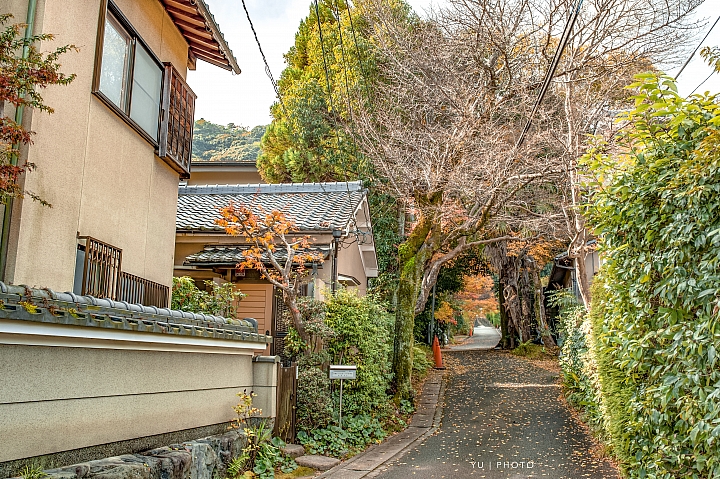 [D4] 京都賞楓攝影（後製）圖多