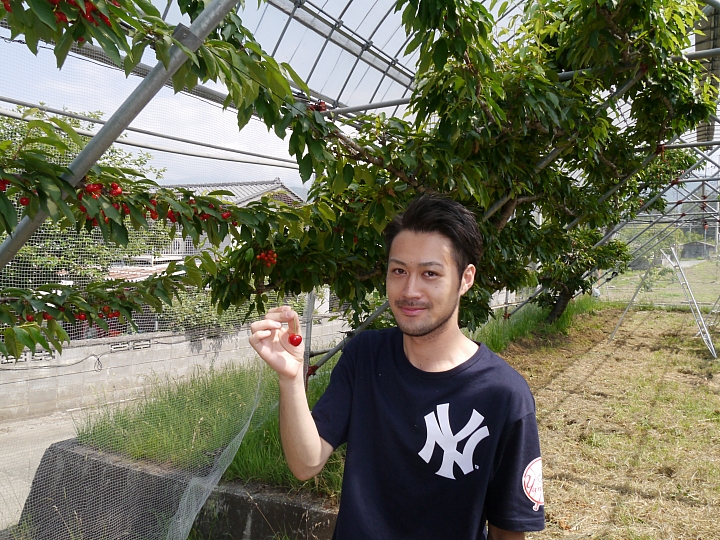 日本山梨縣 "塩山"  採鹽還是採櫻桃 ?!