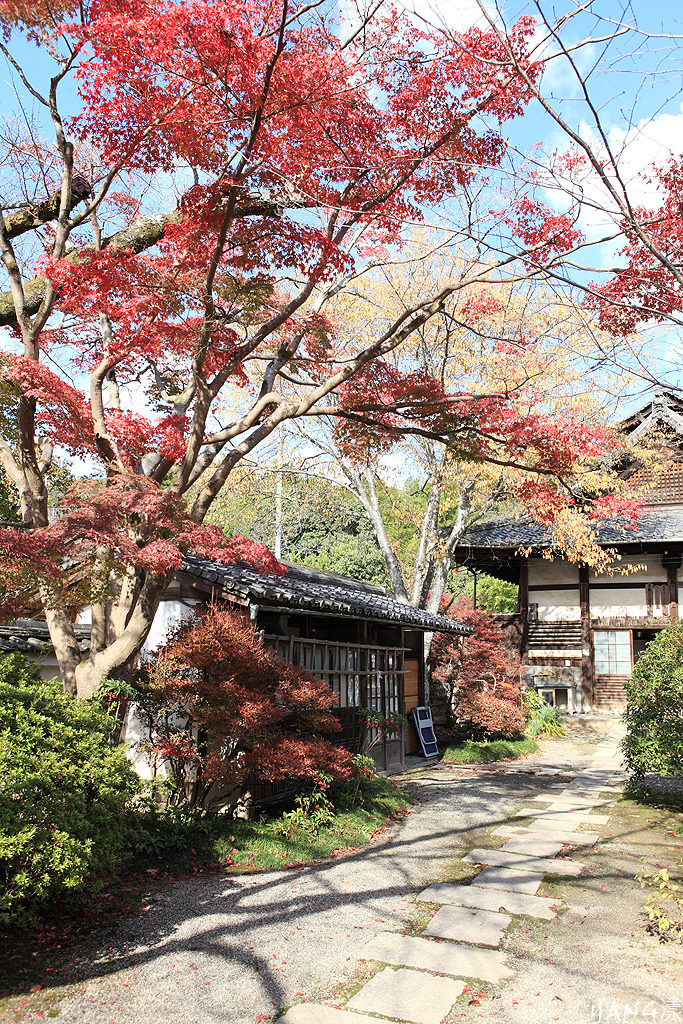 【京都山科】毘沙門堂，紅葉期間至少得來兩次