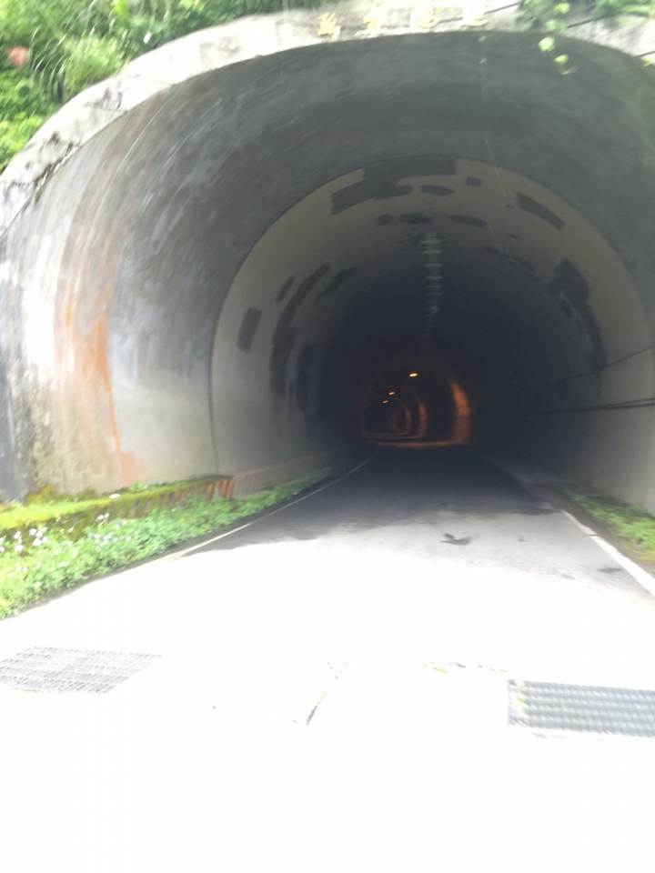 SSCX 單速車田字環島前傳 (完)